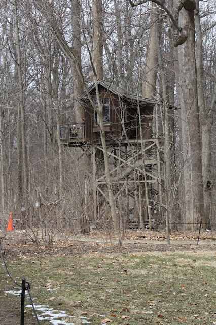 Treehouses at Longwood Gardens give kids a place to climb and also a different vantage point