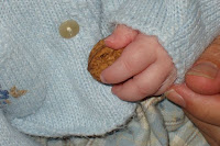 Abby grips a walnut