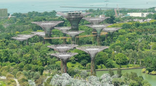 Singapore Flyer, la noria de Singapur.