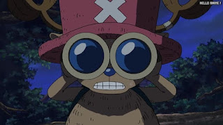 ワンピースアニメ ウォーターセブン編 242話 チョッパー Tony Tony Chopper | ONE PIECE Episode 242 Water 7