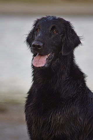 kärnsjön 028 (425x640)