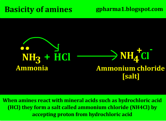 basicity of amines according to lawry bronsted theory