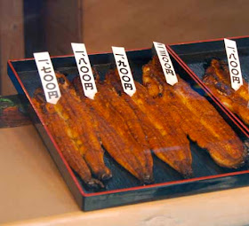 Unagi Eel Kyoto Japan Japanese Food