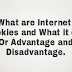What are Internet Cookies and What it do? Or Advantage and Disadvantage.
