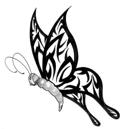 Butterfly Designs for Tattoo