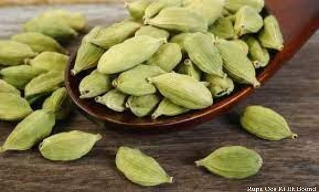 छोटी इलायची / Green Cardamom / Elaichi