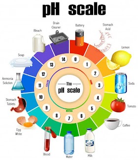 દૈનિક જીવનમાં pH નું મહત્ત્વ | Importance of pH in Everyday Life