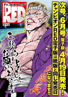 Champion RED digital