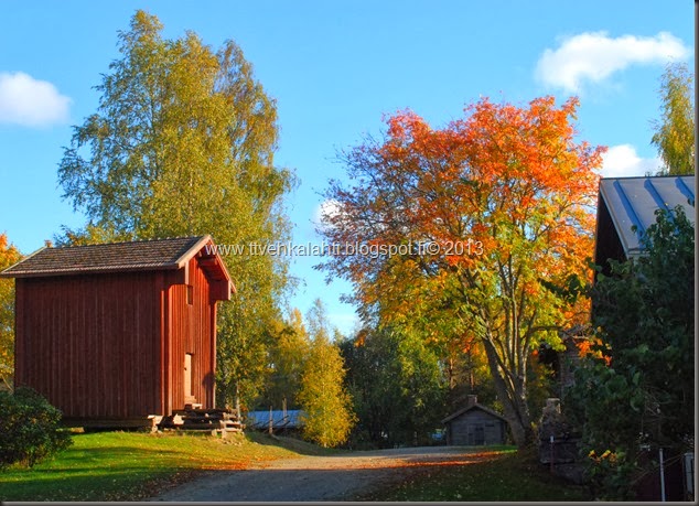 kahrin ruskka sade ikkunasssa 011