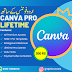 Get Canva Pro for Lifetime in just 300 rupees