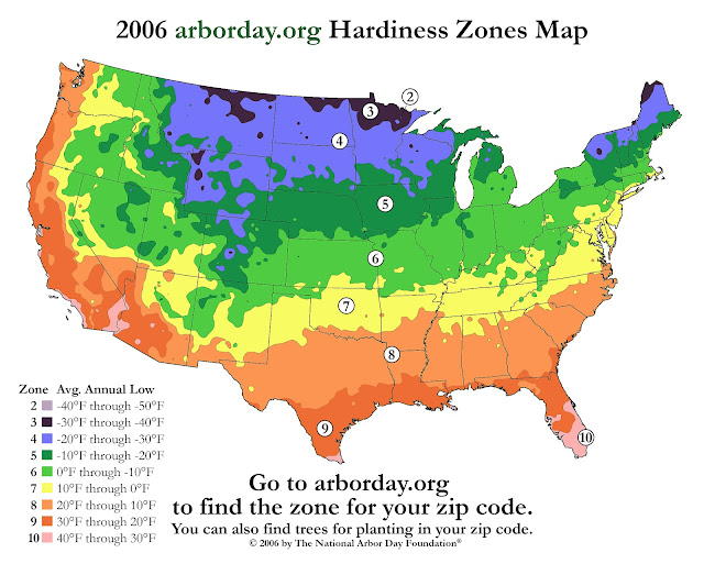 Bamboo Zones