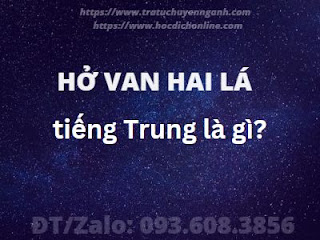 "Hở van hai lá" tiếng Trung là gì?