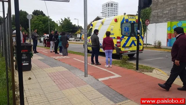 Osorno: Grave atropello en el centro de la ciudad