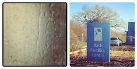 Shower water droplets - Bath Fertility Clinic in the sunshine