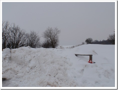 2010-02-06 14-46-32_0022