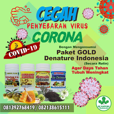 Cara mencegah virus corona dengan obat herbal