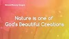 Nature is one of God's Beautiful Creations