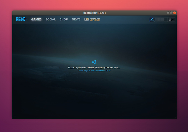 Blizzard agent went to sleep. Attempting to wake it up Battle.net