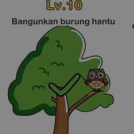 Bangunkan Burung Hantu