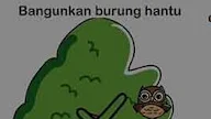 Bangunkan Burung Hantu Brain Out, Ini Jawaban Tepatnya