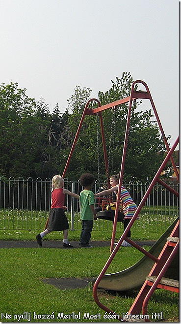 IMG_4552