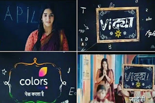 Vidya Serial on Colors, Vidya Cast, character real name, Story, Vidya show Wiki, Timing