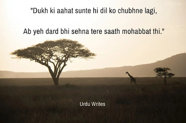Dukh ki aahat sunte hi dil ko chubhne lagi - Sad urdu Poetry