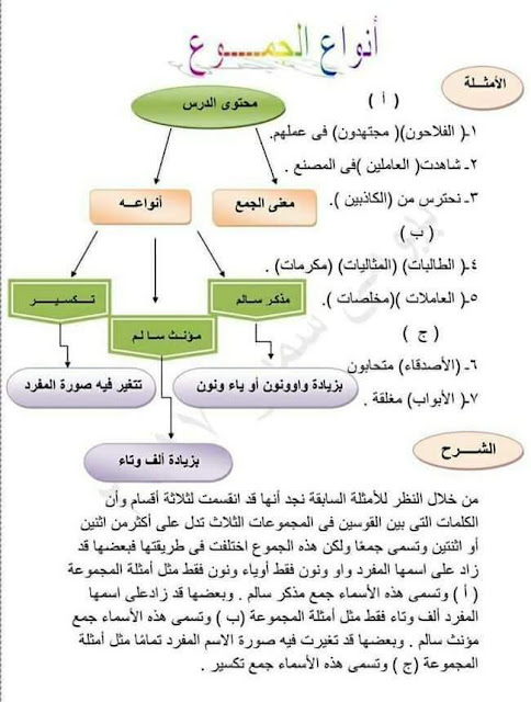 أنواع الجموع في اللغة العربية 