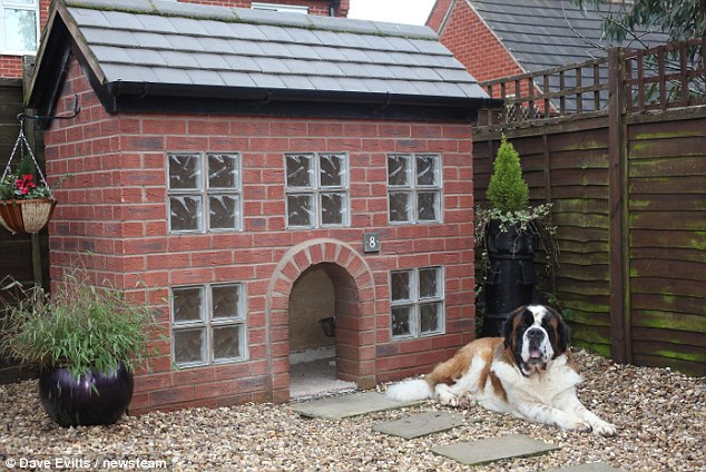 Build Outdoor Dog Kennel House