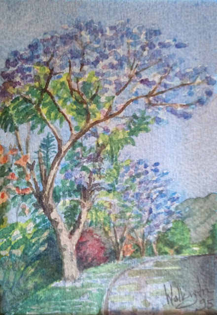 Watercolour of blue-blossoming jacaranda trees along a roadside in the heights of Reunion Island, by William Walkington in 1995