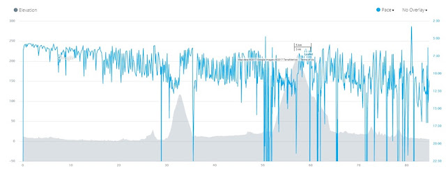 Elevation vs Pace