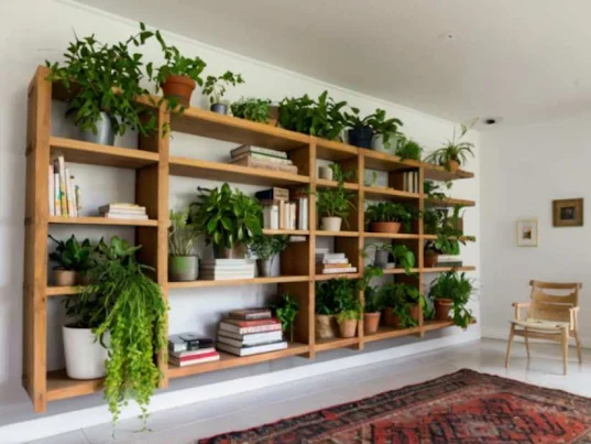 Plants into Bookshelves