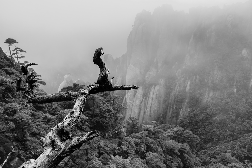 三清山 sanqing mountain