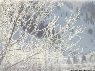 Imágenes de paisajes navieños alrededor del mundo.