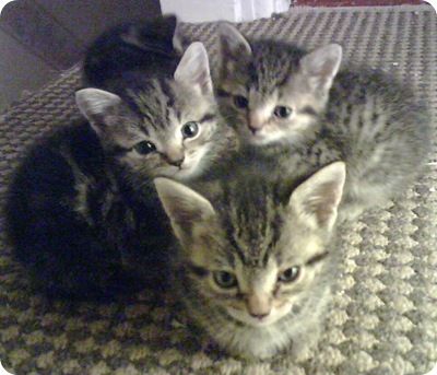 IMG00008[1]