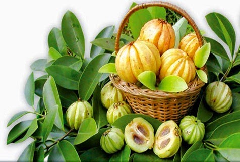 Cosa è la Garcinia Cambogia?