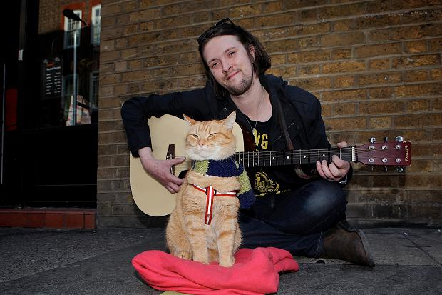 James Bowen and Bob the amazing cat