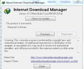 Faster Download With Internet Download Manager 6.12 Build 3