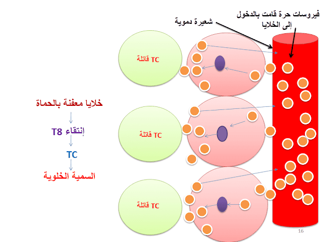 http://www.didactique-svt.com/