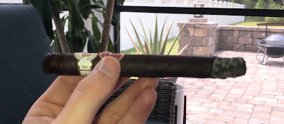 Aganorsa Leaf Guardian of the Farm Night Watch Review