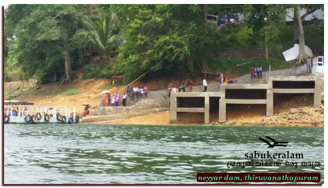 NEYYAR DAM നെയ്യാർ ഡാമിൽനിന്നും