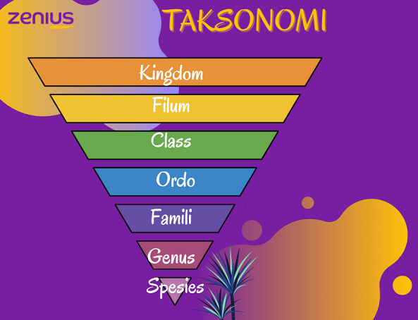 Taksonomi, Cabang Ilmu Biologi yang Mengkaji Pengelompokan Makhluk Hidup