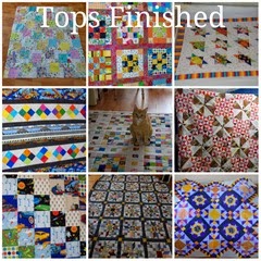 collagetops
