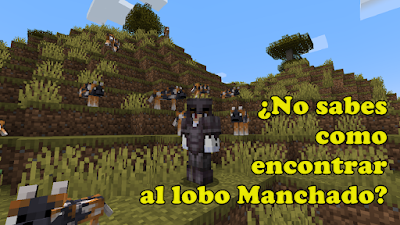 Como encontrar al Lobo Manchado en Minecraft