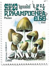 Selo Coprinus micaceus