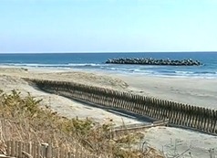 Hamamatsu tem uma das maiores colônias brasileiras no Japão.