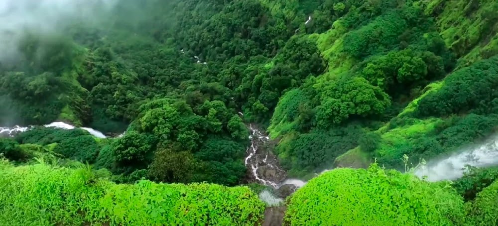 Amboli Ghat - How to reach | Amboli Waterfall | Best time to Visit | Nearby  Hotels | A Place Full of Natural Wonders