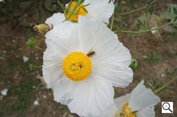 Sony NEX image Test 5