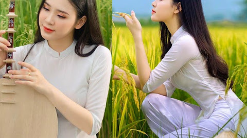 Á khôi Sinh viên Việt Nam khoe nét xuân thì bên cánh đồng lúa