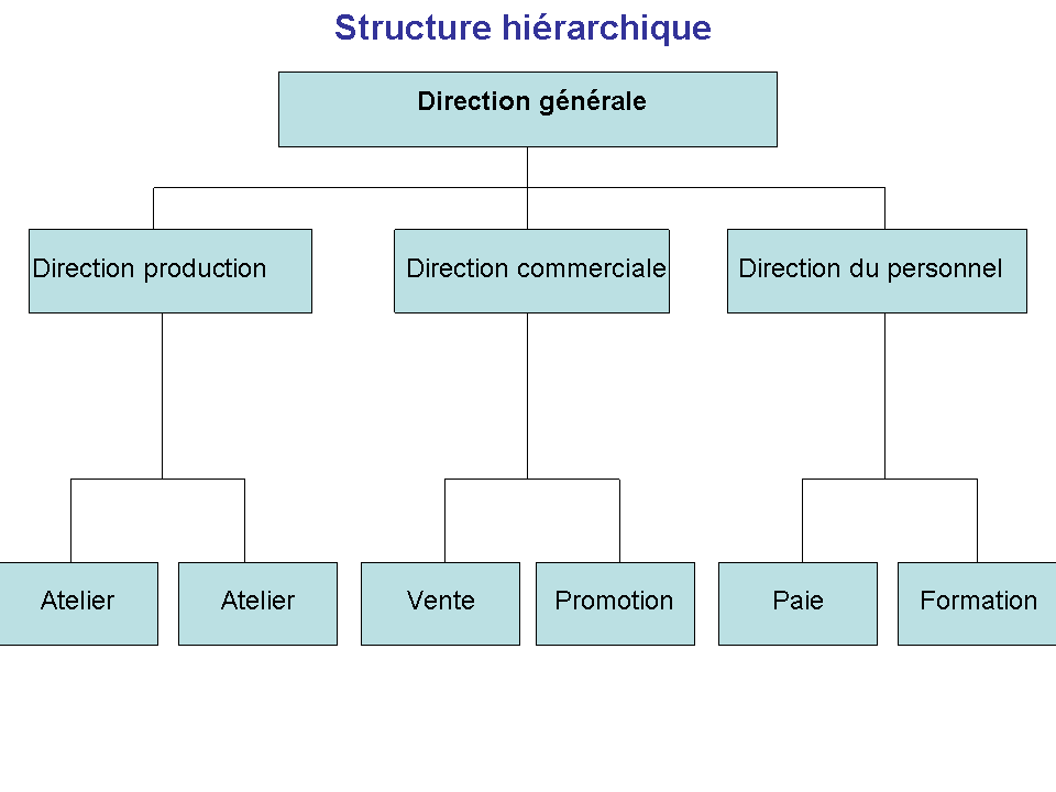 Les Structure de l'entreprise ~ Economie et Gestion